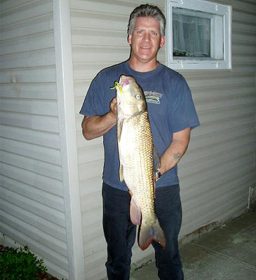 1159_River Redhorse_Moxostoma carinatum.jpg 1159_River Redhorse_Moxostoma carinatum.jpg